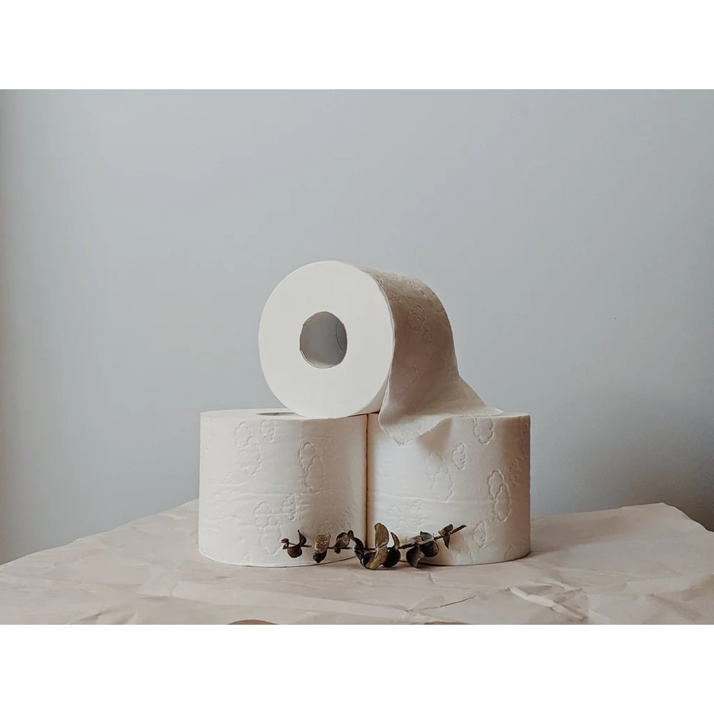 Paper Towel Rolls